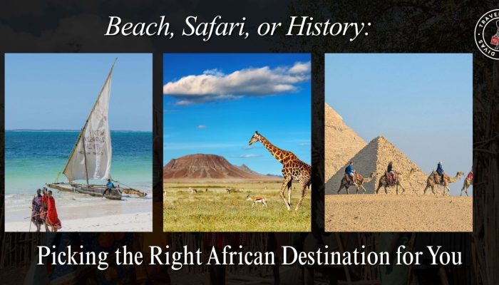 3 African location images of a beach, safari and historical. Zanzibar beach and Great Pyramids in Egypt
