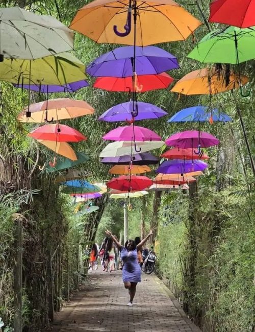 TD_Bali (4)