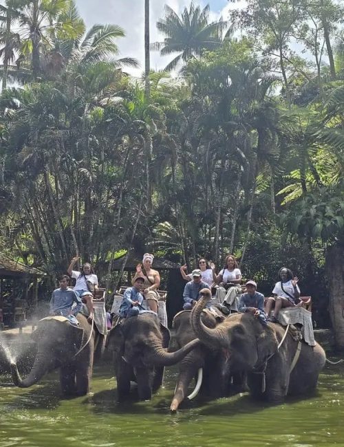 TD_Bali (5)